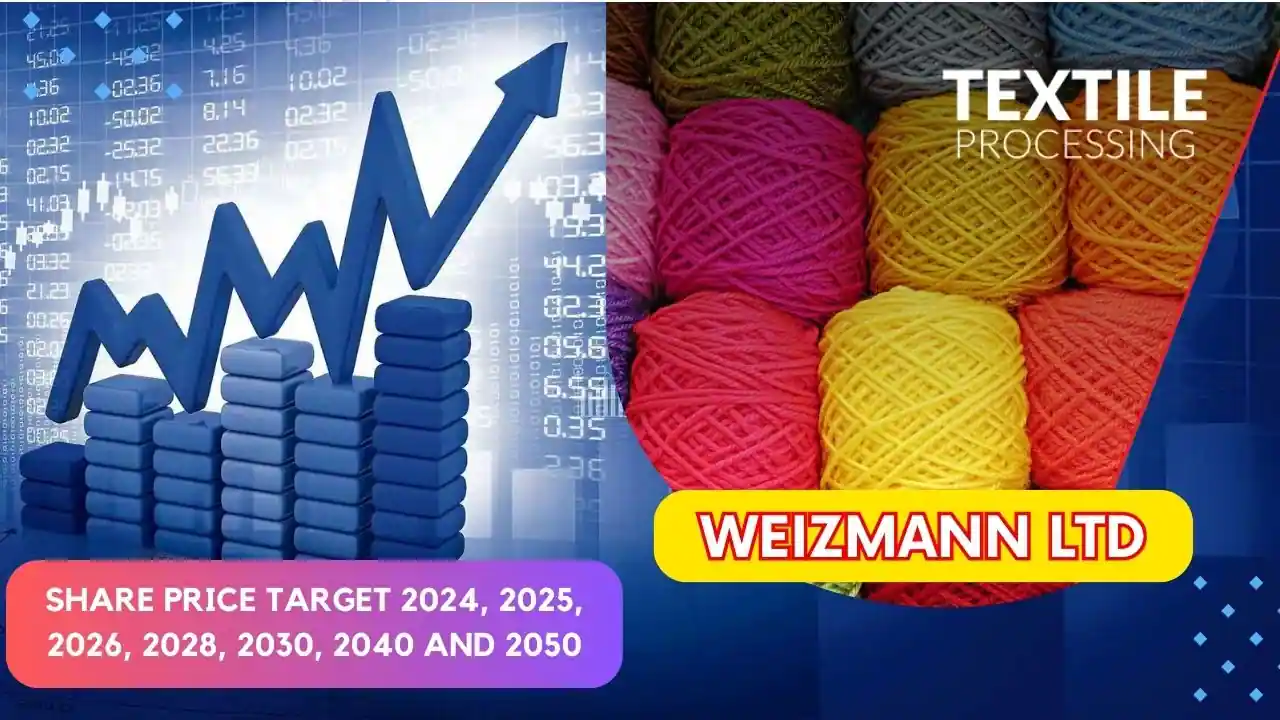 Weizmann Share Price Target 2024 to 2050